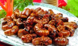 最新新康饭菜爆料图片,最新爆料图片曝光，美味与营养并存！”